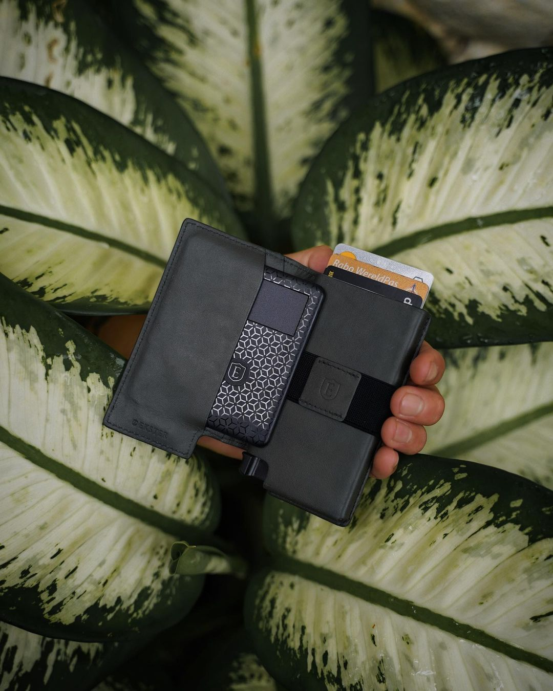 Hand holding Ekster wallet with plant in background