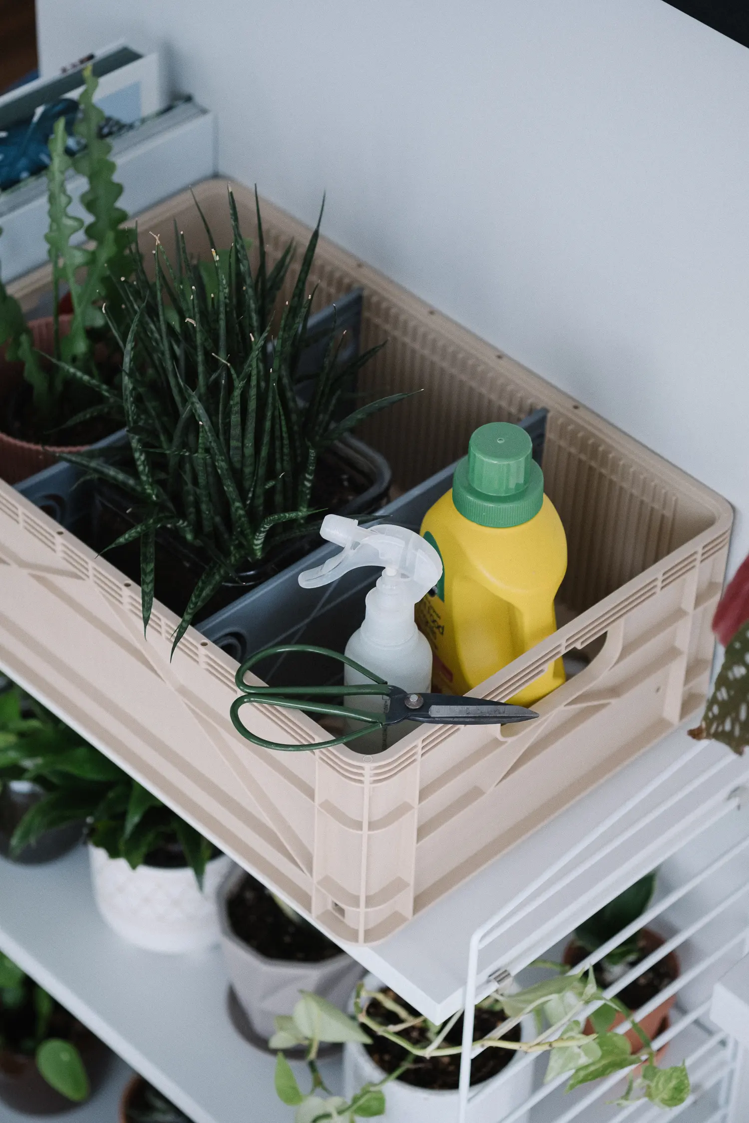 sidio storage crate with plants inside