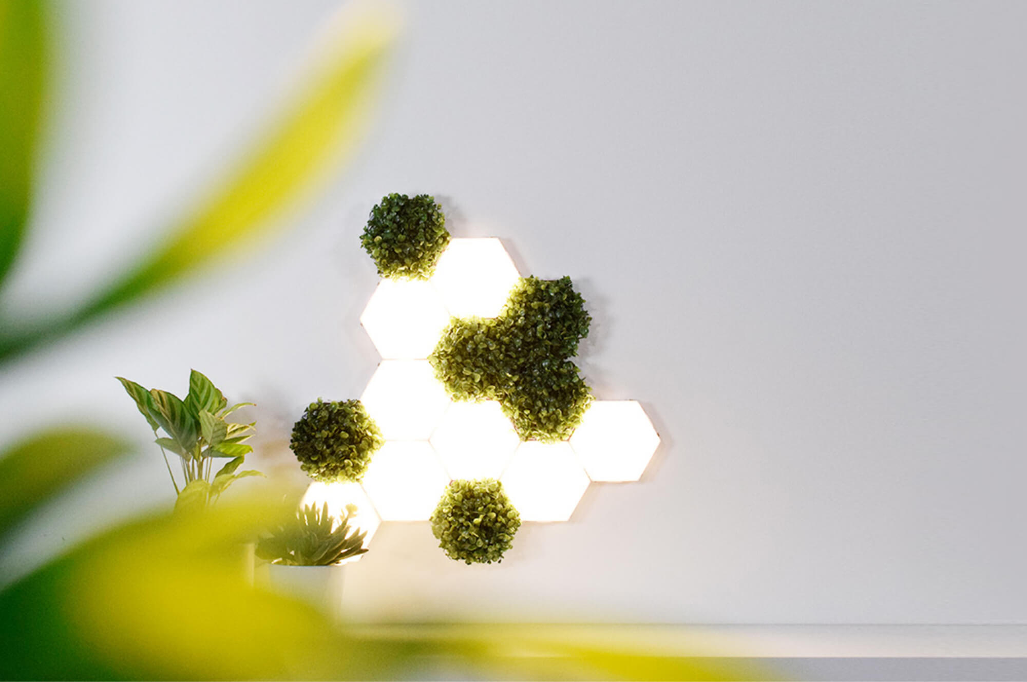 Polygon Lights